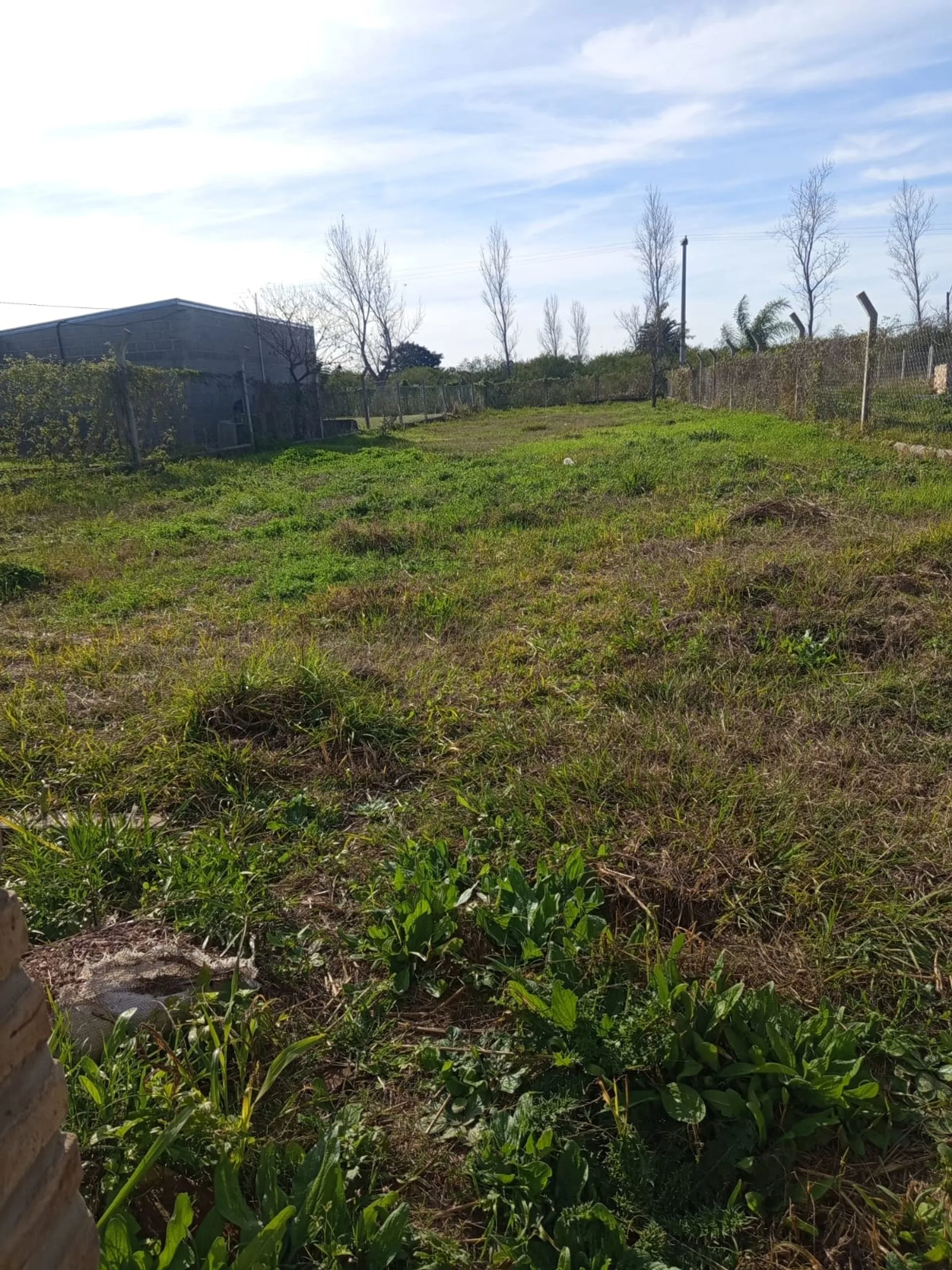Se vende terreno en Caima foto 3
