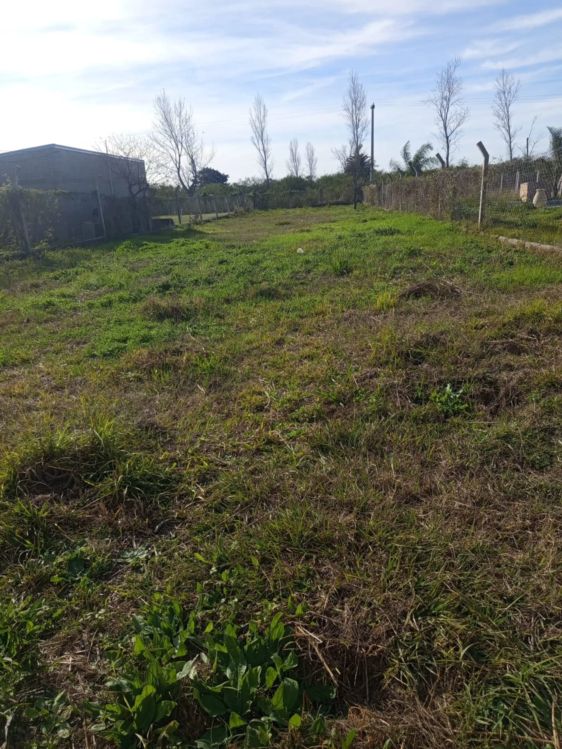 Se vende terreno en Caima foto 4