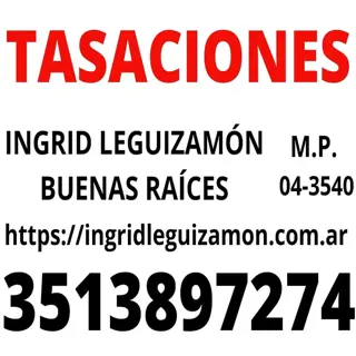 Venta Lote 351m2 Casa a Demoler Derechos Hereditarios z/Forja en San Vicente U$S40.000. foto 5