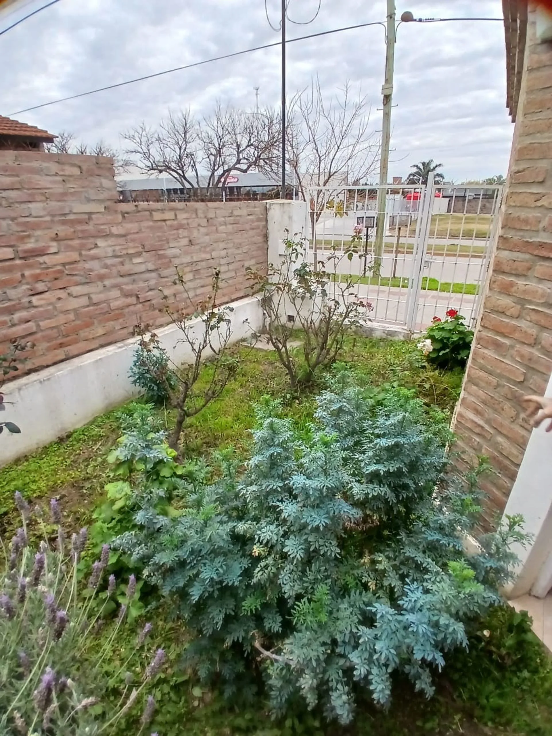 Venta Casa 3 dormitorios - Barrio Consolata foto 4