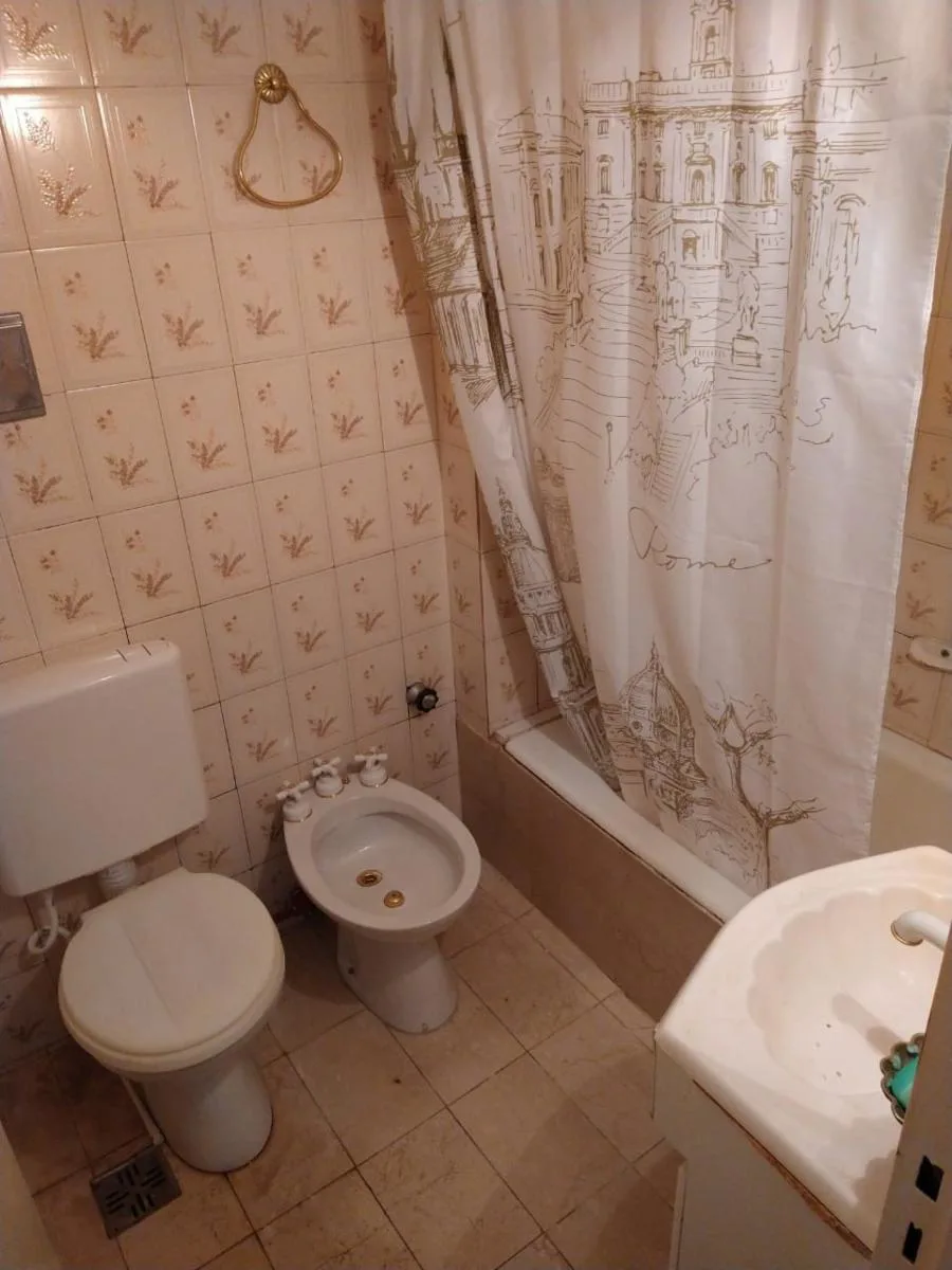 1-bedroom apartment in Recoleta – photo 6 of 14