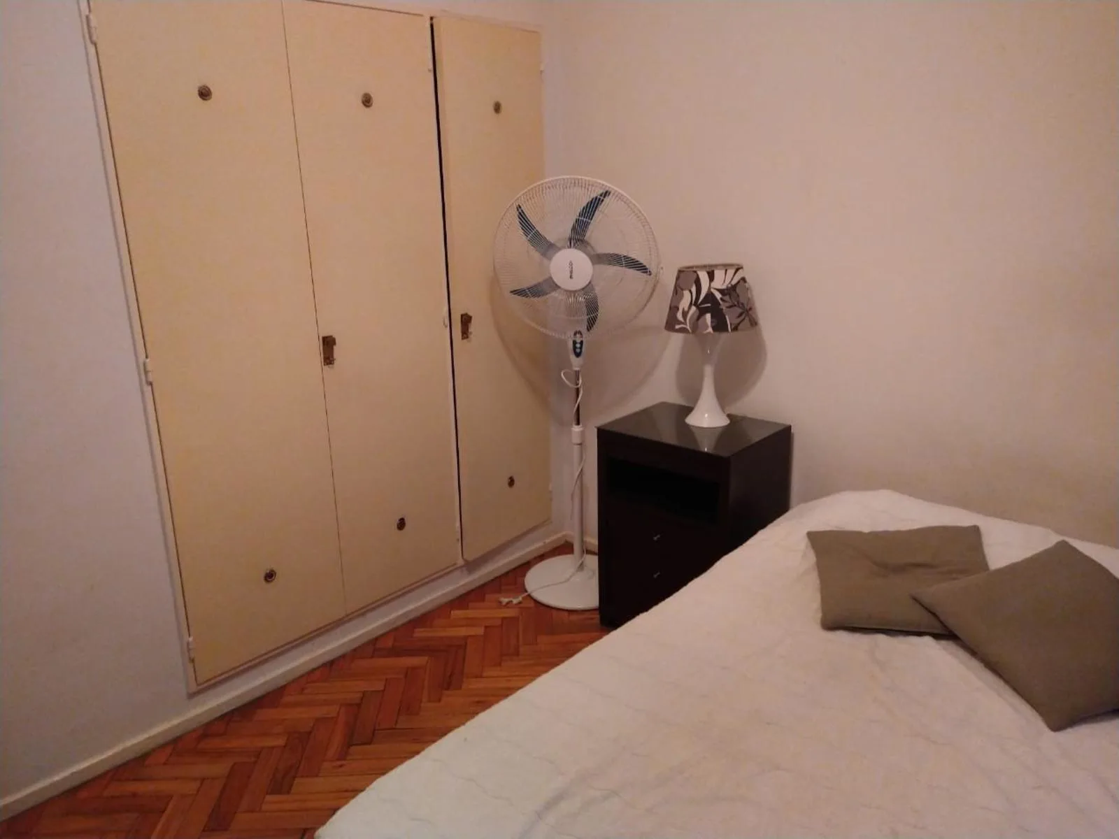1-bedroom apartment in Recoleta – photo 11 of 14
