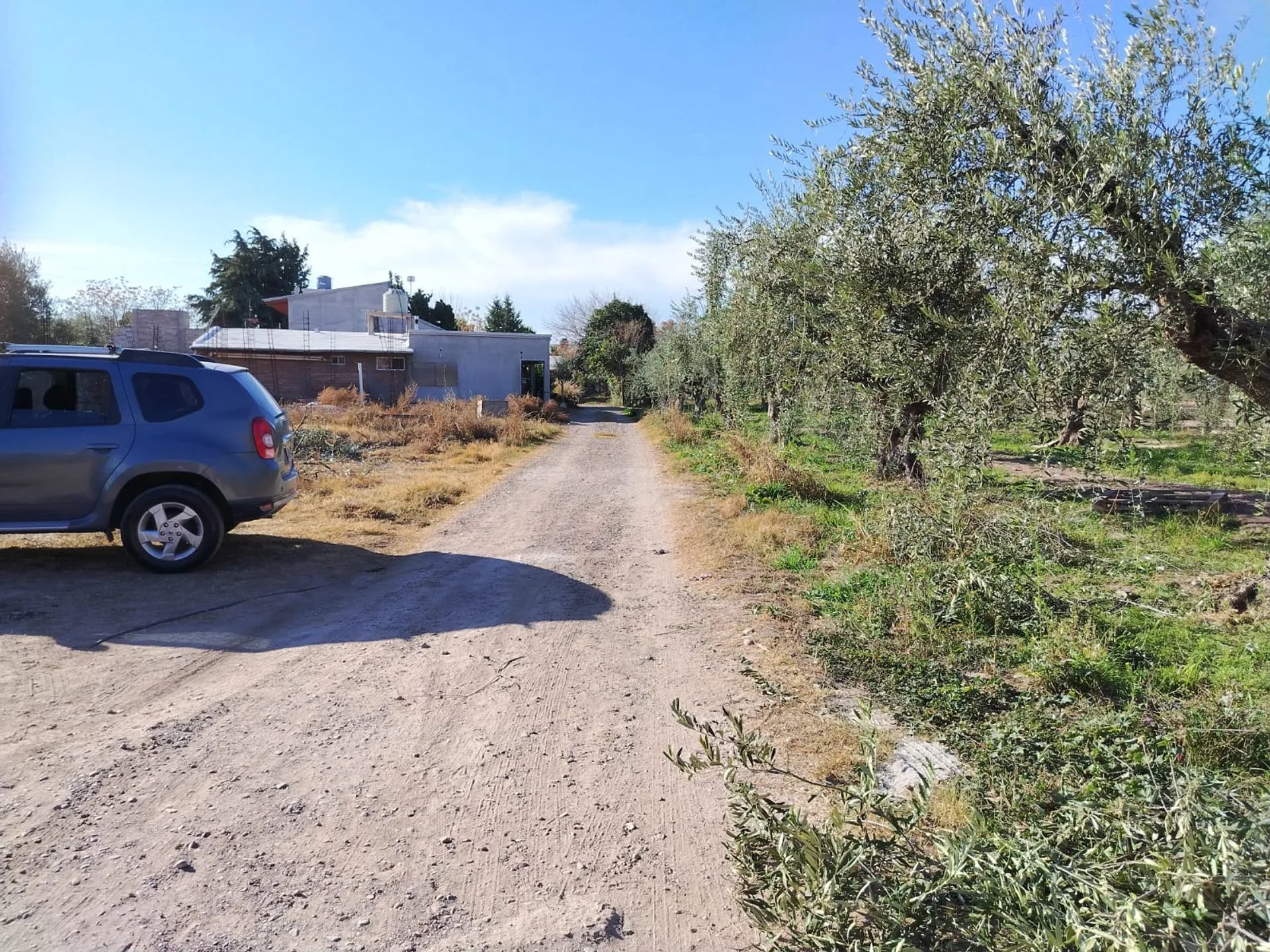 VENTA DE LOTE 500 M2, CALLE LAPRIDA RUSSELL foto 3