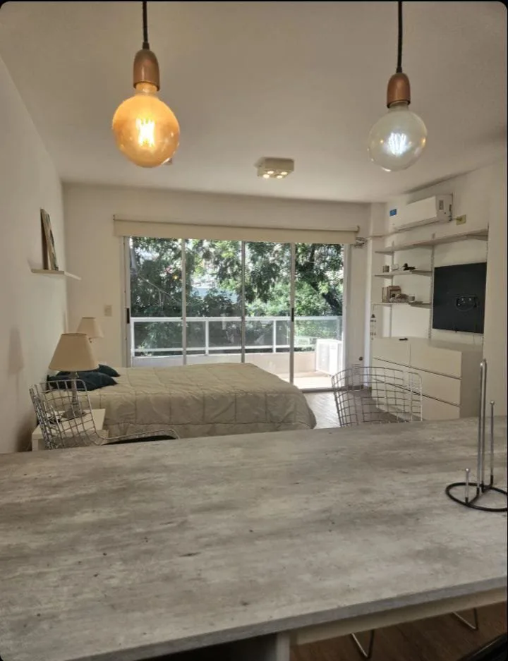 Se vende un hermoso monoambiente amplio con balcón y cochera - Balvanera foto 2