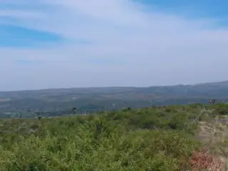 NUM DE REF 386, 22 hectareas en san esteban ideal complejo de cabañas o bº privado c/vista panor foto 1