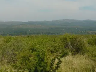 NUM DE REF 386, 22 hectareas en san esteban ideal complejo de cabañas o bº privado c/vista panor foto 2