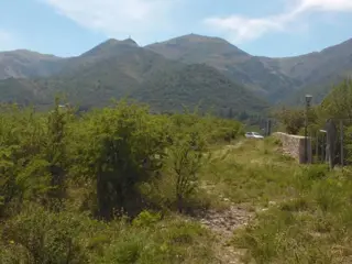 NUM DE REF 386, 22 hectareas en san esteban ideal complejo de cabañas o bº privado c/vista panor foto 3