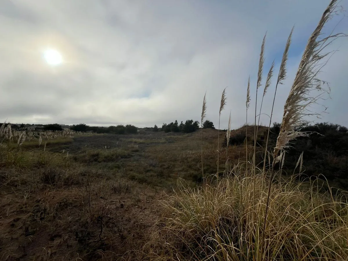 LOTE EN VENTA EN VILLA GESELL- EL SALVAJE foto 2
