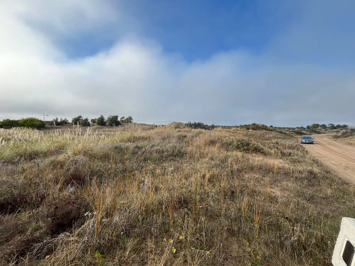 LOTE EN VENTA EN VILLA GESELL- EL SALVAJE foto 5