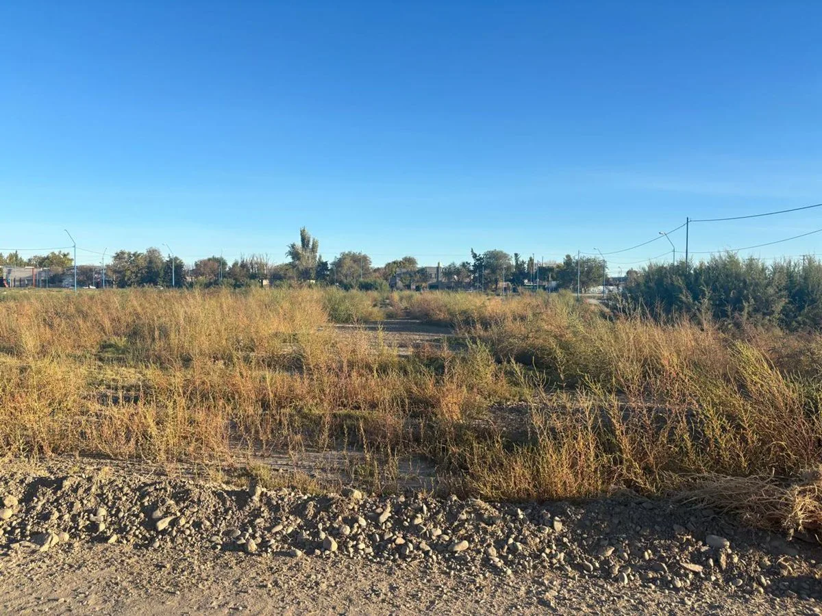 LOTE JUJUT Y VIEDMA 340 M2 foto 2