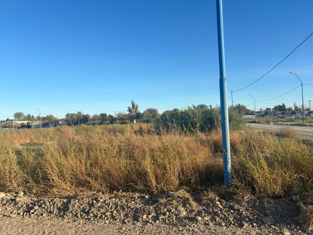 LOTE JUJUT Y VIEDMA 340 M2 foto 3