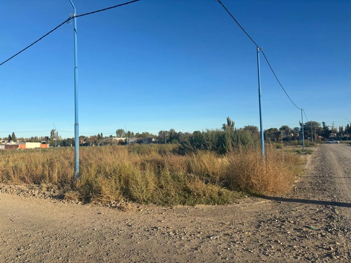 LOTE JUJUT Y VIEDMA 340 M2 foto 4