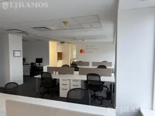 Alquiler Oficina 318 m² | Alem Plaza Catalinas | 3 Cocheras foto 5