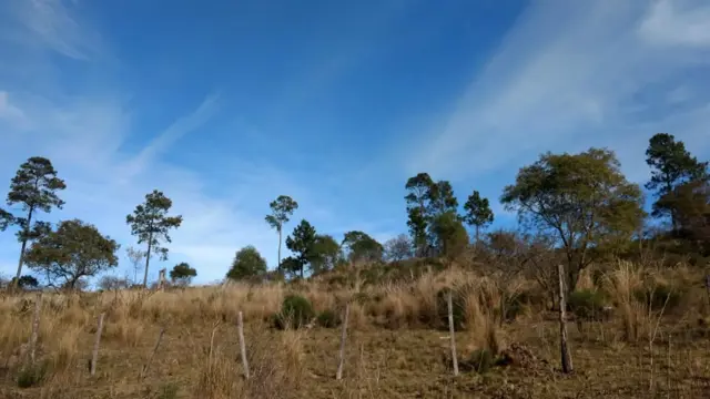 Excelentes fracciones de una hectárea camino a Cumbrecita