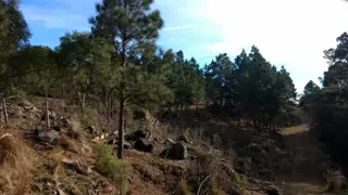 Excelentes fracciones de una hectárea camino a Cumbrecita foto 3