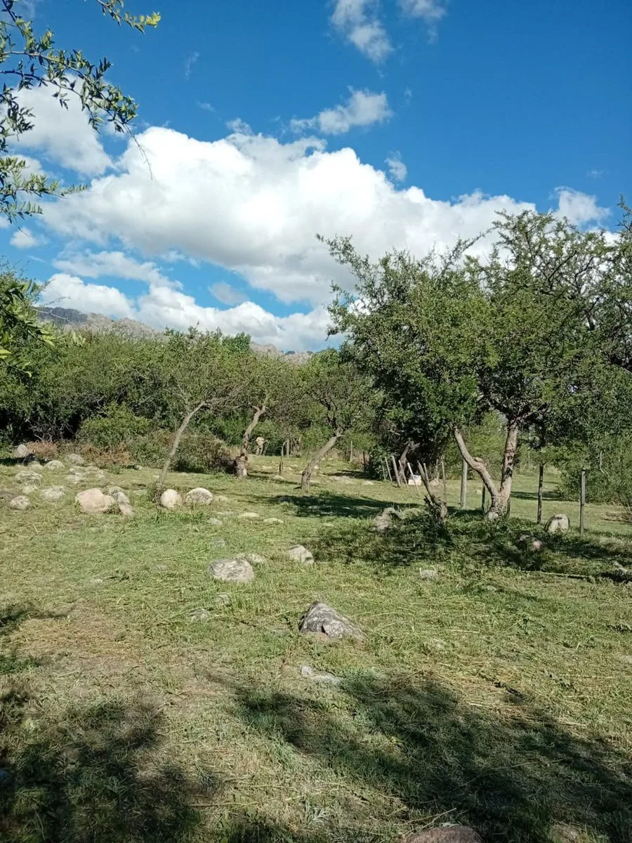 OPORTUNIDAD- Venta Terreno en Cortaderas 1000m2 foto 2