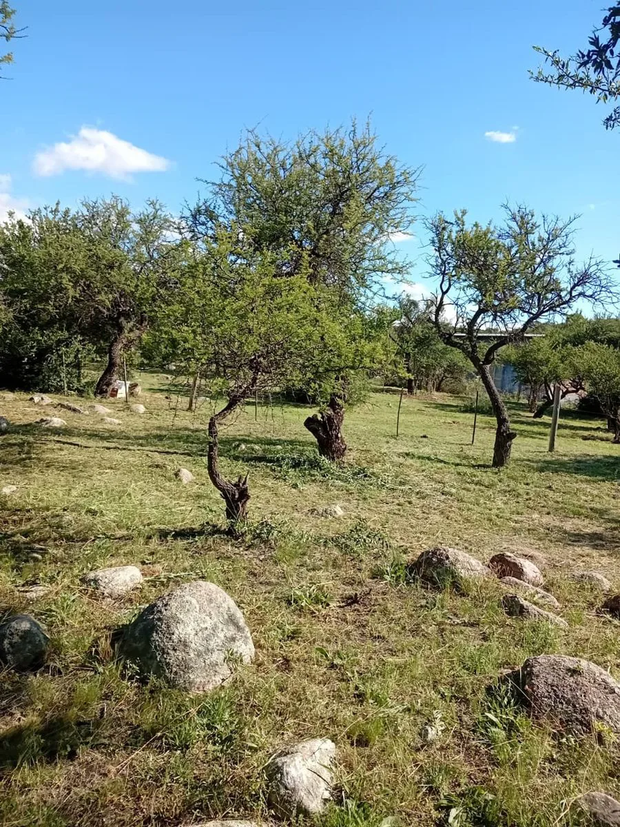 OPORTUNIDAD- Venta Terreno en Cortaderas 1000m2 foto 3
