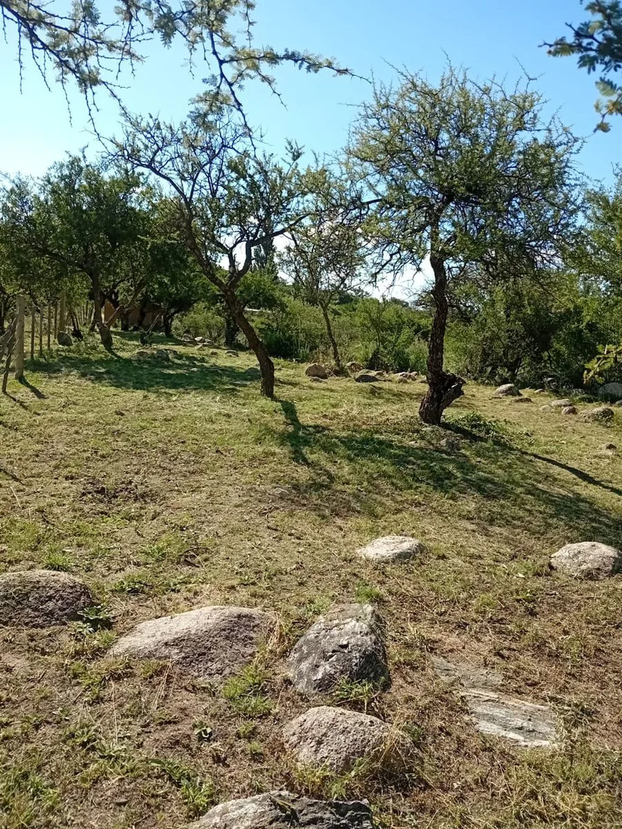 OPORTUNIDAD- Venta Terreno en Cortaderas 1000m2 foto 4