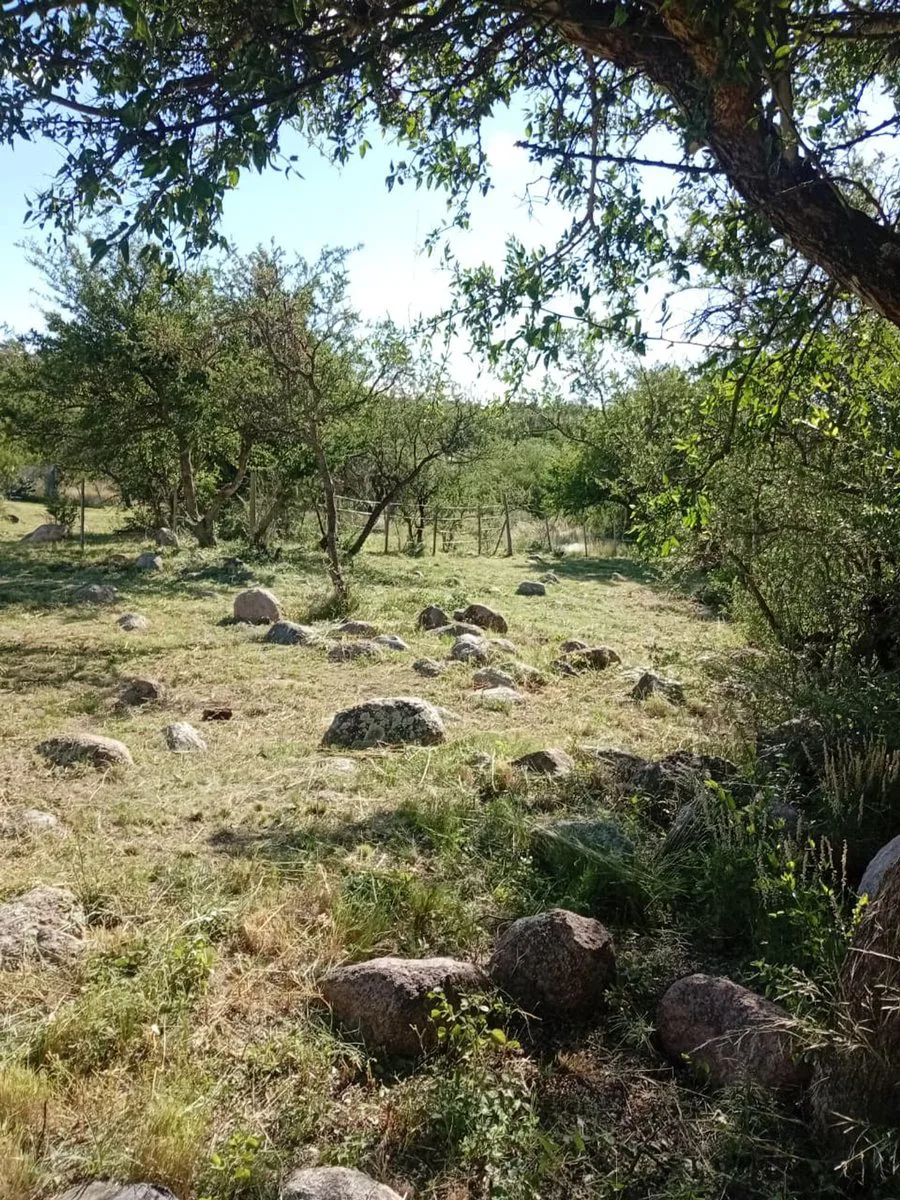 OPORTUNIDAD- Venta Terreno en Cortaderas 1000m2 foto 5