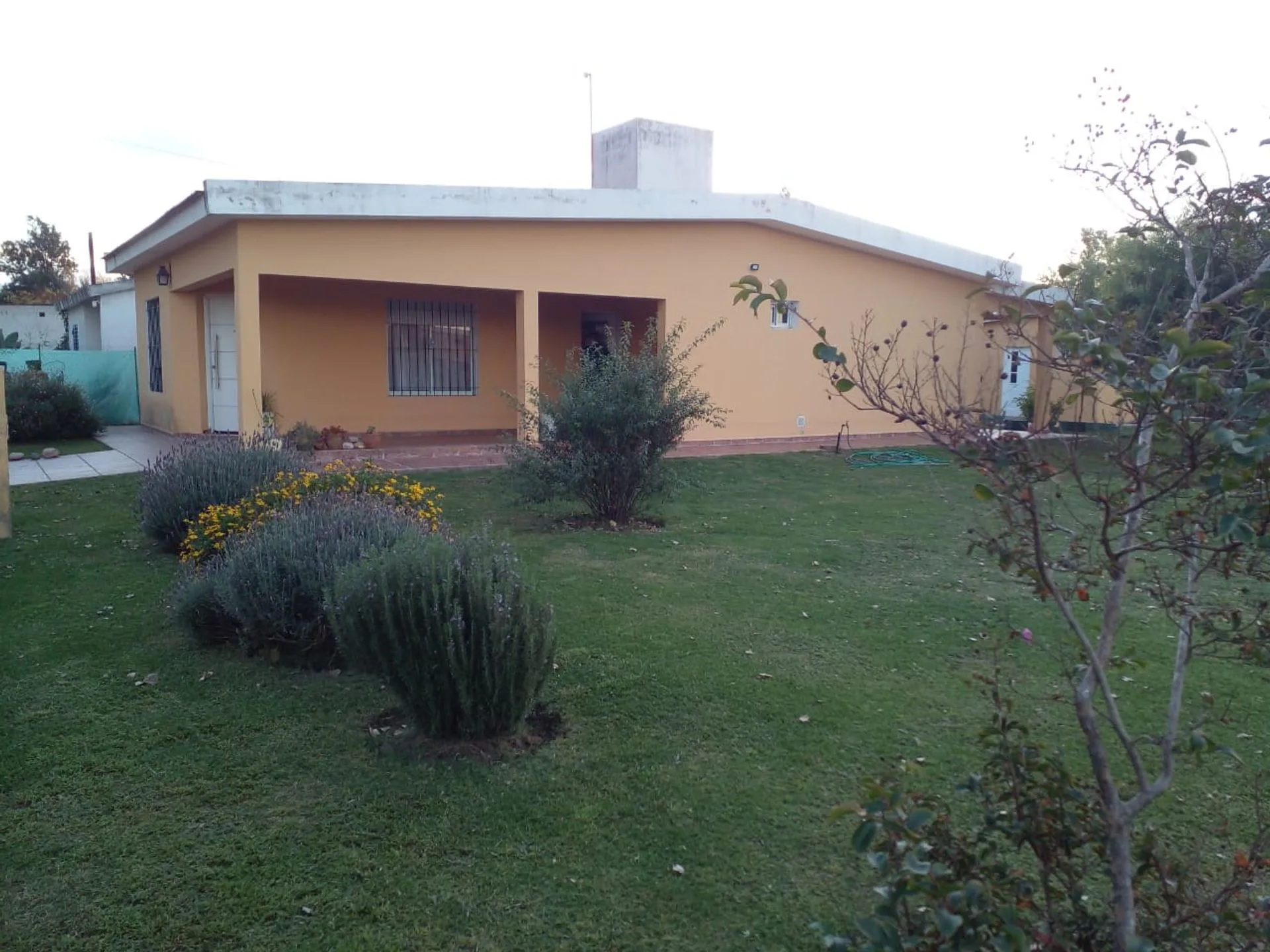 VENTA CASA 2 DORMITORIO AVELLANEDA foto 2