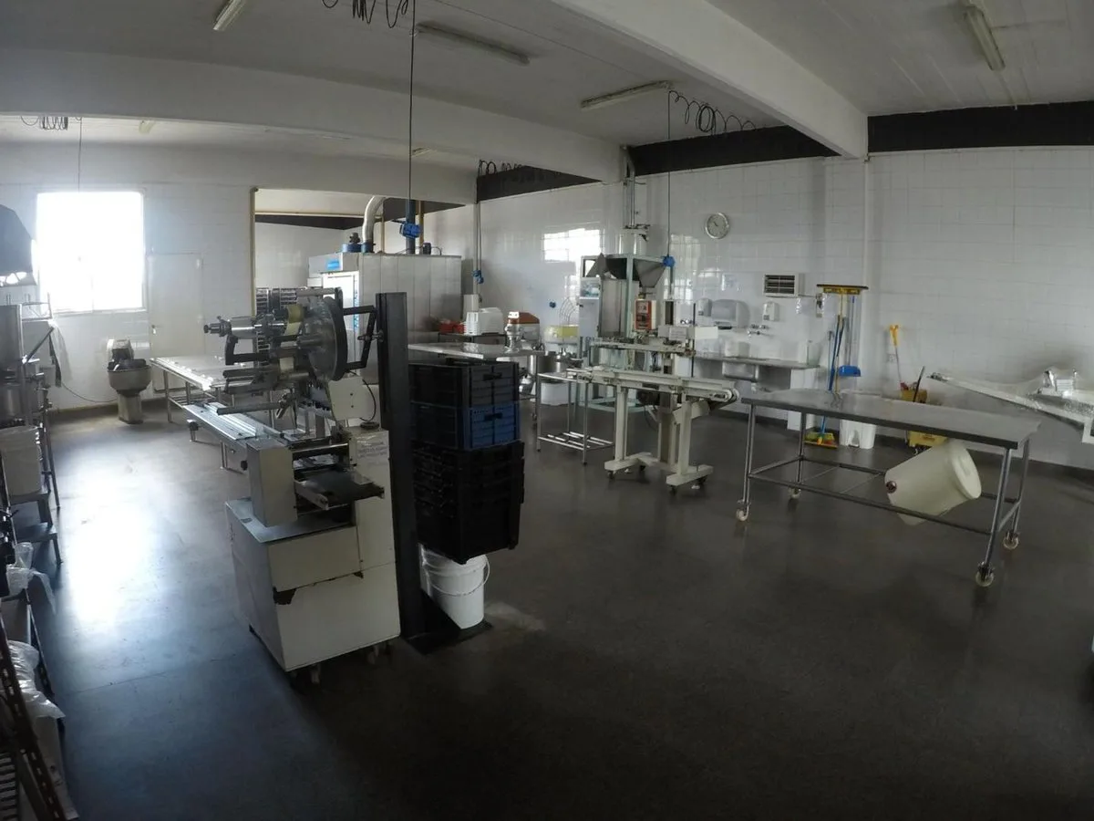 Planta Alimenticia Lista para Producir 360/420MTA foto 2