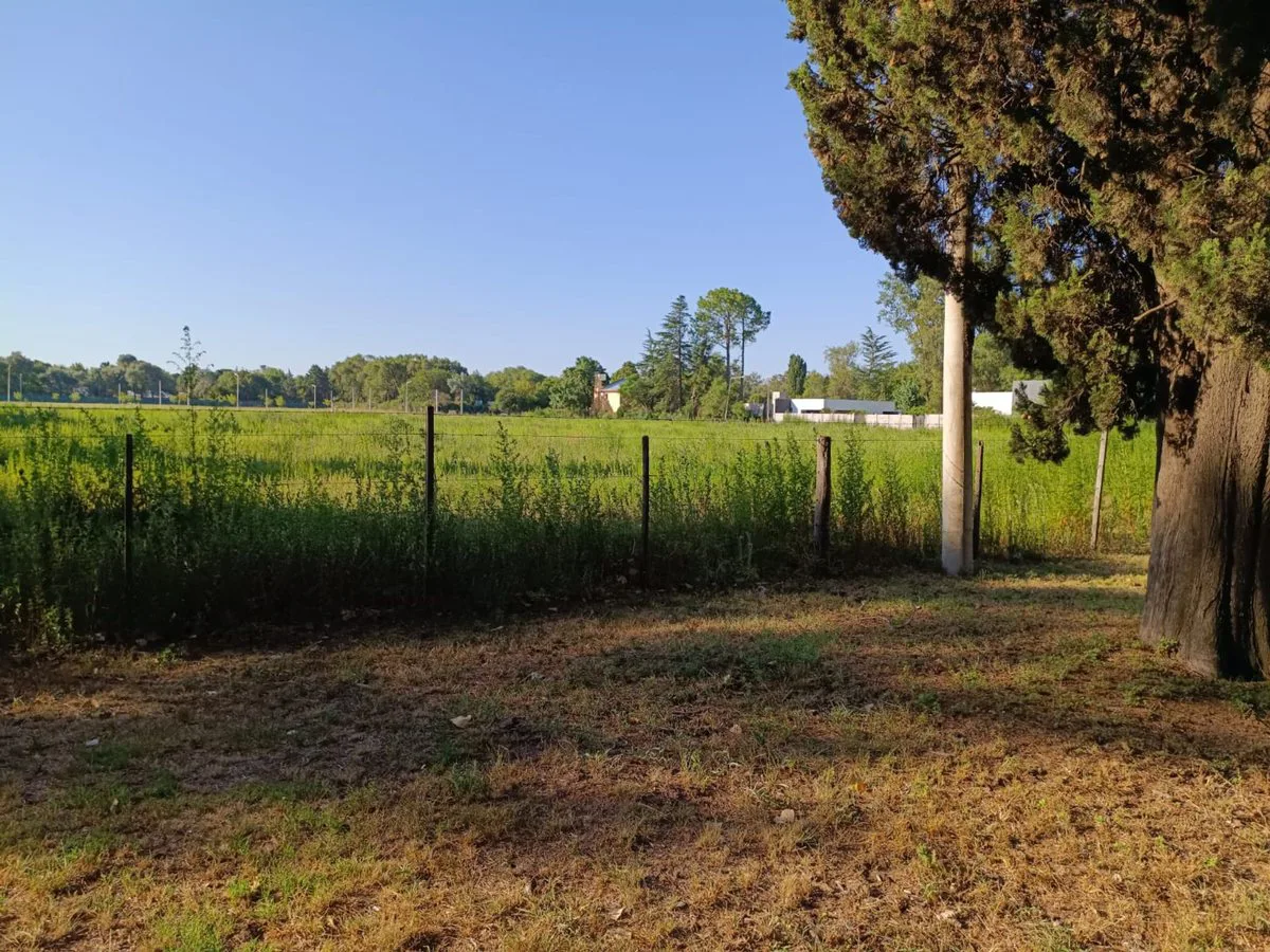 LOTE LOS PINOS - 20x52m2 - OPORTUNIDAD foto 2