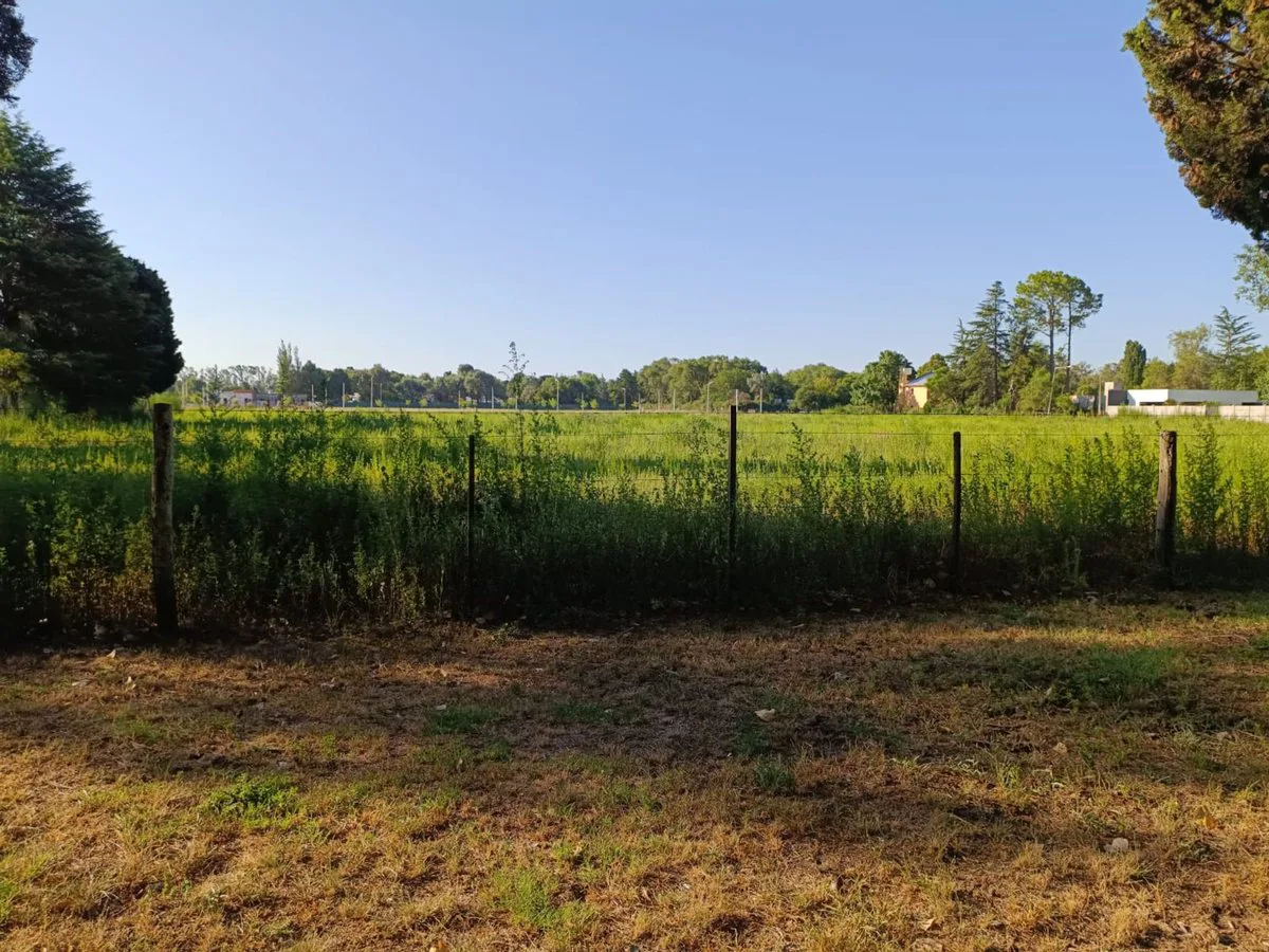 LOTE LOS PINOS - 20x52m2 - OPORTUNIDAD foto 3