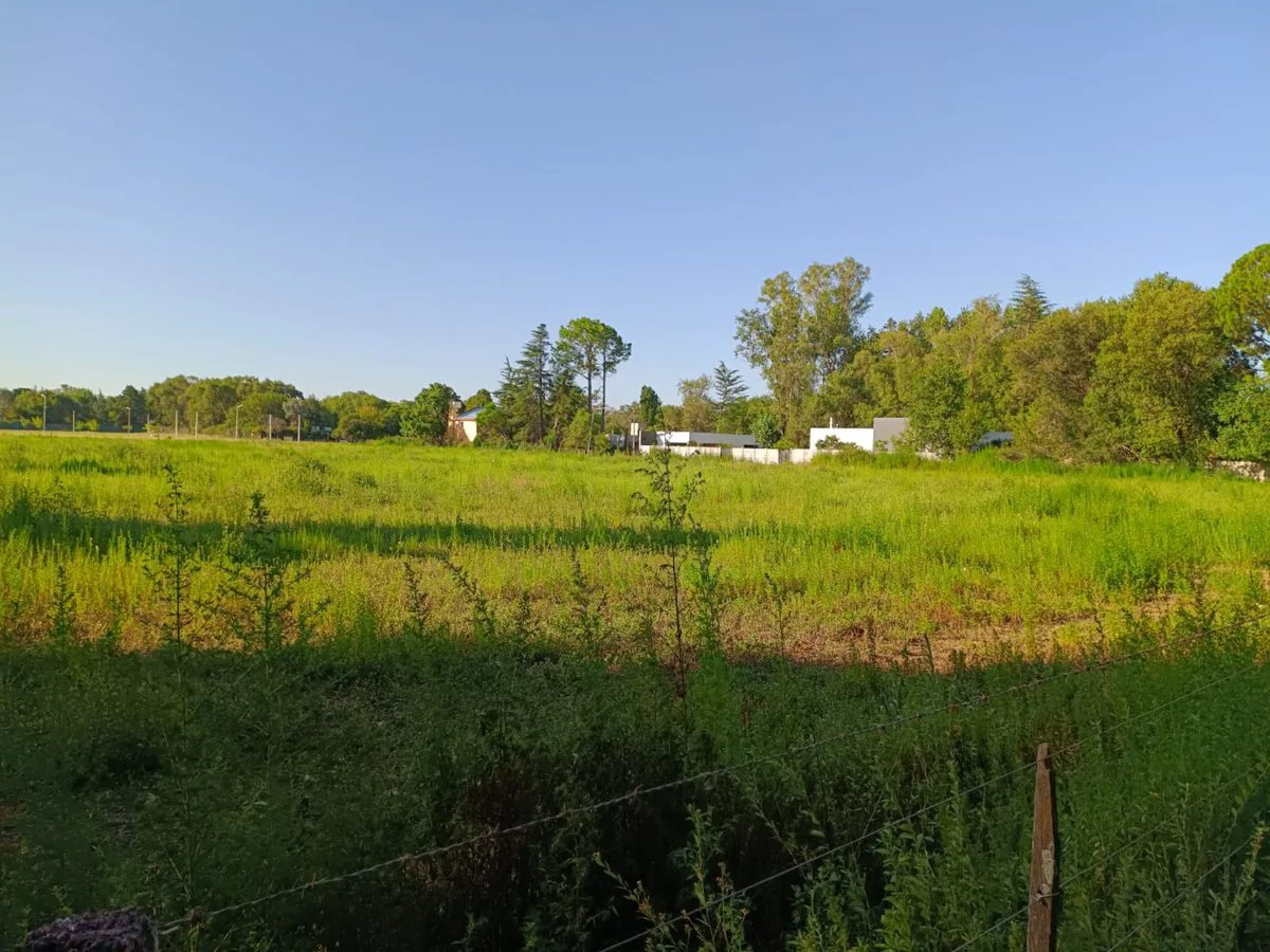 LOTE LOS PINOS - 20x52m2 - OPORTUNIDAD foto 4