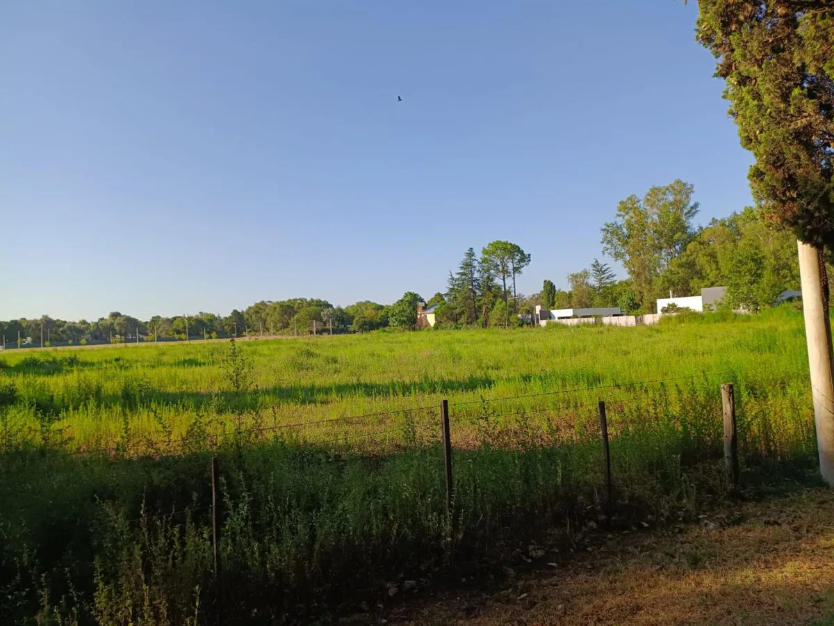 LOTE LOS PINOS - 20x52m2 - OPORTUNIDAD foto 5