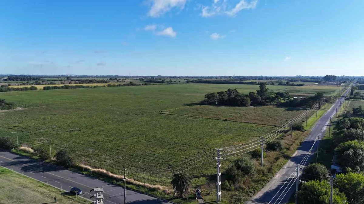 VENTA CAMPO 17,47 HA. AVDA RUCCI A MTS DEL ESTADIO foto 2