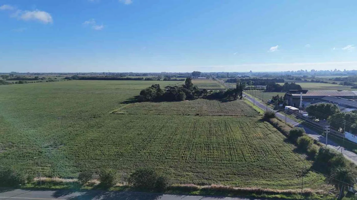 VENTA CAMPO 17,47 HA. AVDA RUCCI A MTS DEL ESTADIO foto 4