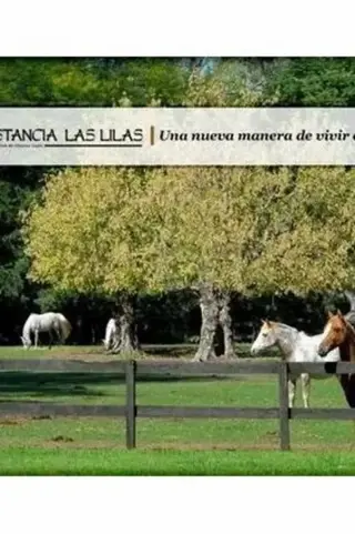 LOTE EN ESTANCIA LAS LILAS foto 3
