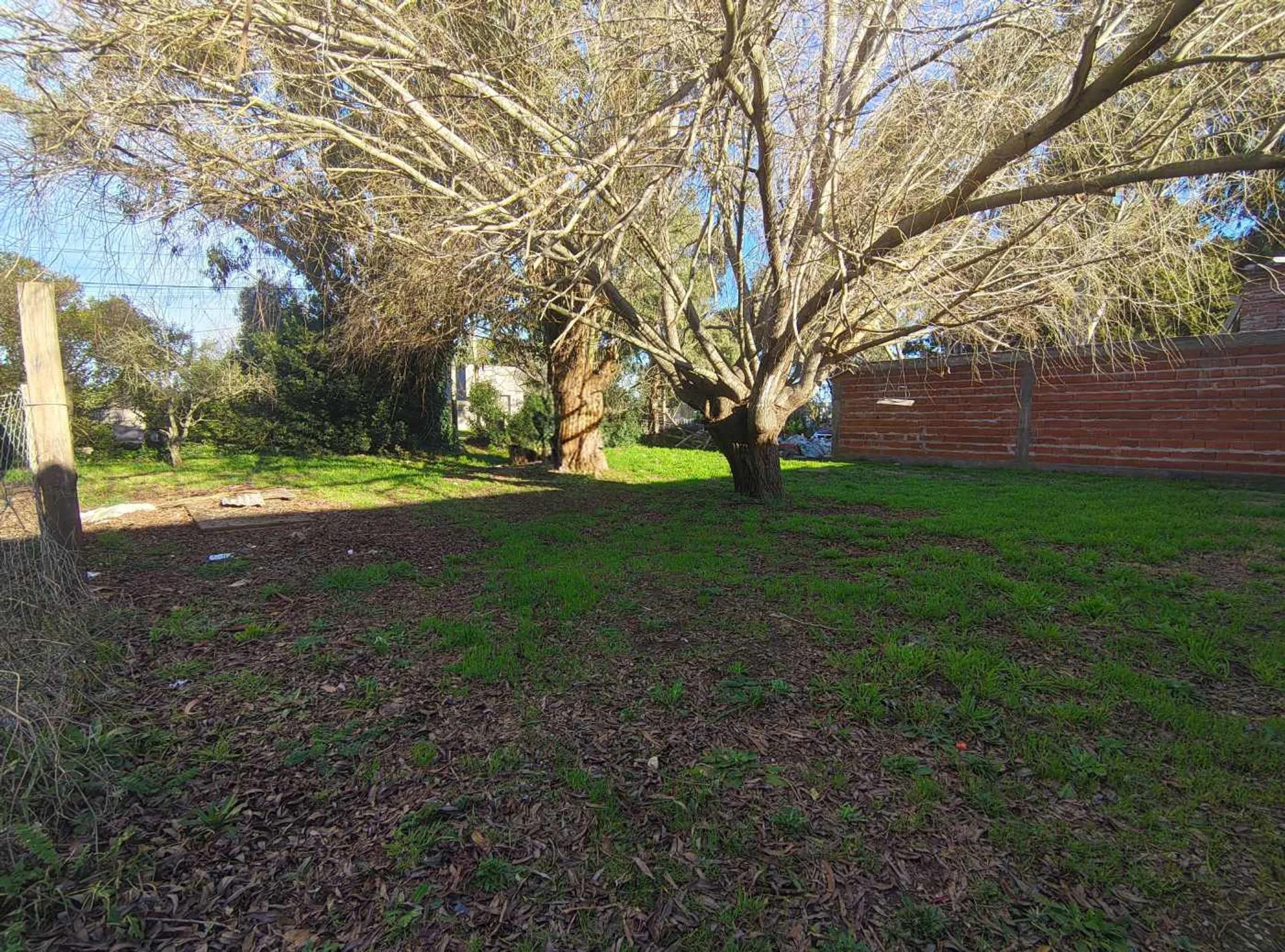VENTA TERRENO LOTE BARRIO FELIX U CAMET foto 4