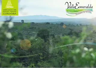 LOTES CON VISTAS A LAS SIERRAS DE CORDOBA foto 5