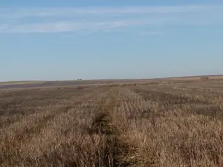 AZUL: CAMPO SANTA TERESITA, APTO SIEMBRA, 324 HECTAREAS. SE ESCUCHA PROPUESTA RAZONABLE foto 2