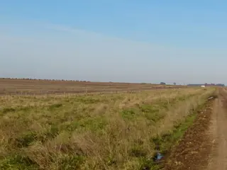 AZUL: CAMPO SANTA TERESITA, APTO SIEMBRA, 324 HECTAREAS. SE ESCUCHA PROPUESTA RAZONABLE foto 3