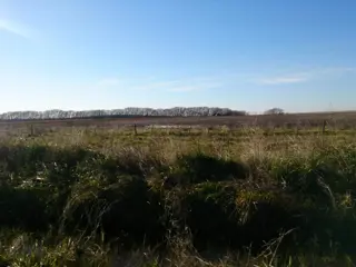 AZUL: CAMPO SANTA TERESITA, APTO SIEMBRA, 324 HECTAREAS. SE ESCUCHA PROPUESTA RAZONABLE foto 4