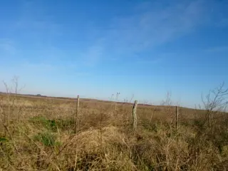 AZUL: CAMPO SANTA TERESITA, APTO SIEMBRA, 324 HECTAREAS. SE ESCUCHA PROPUESTA RAZONABLE foto 5