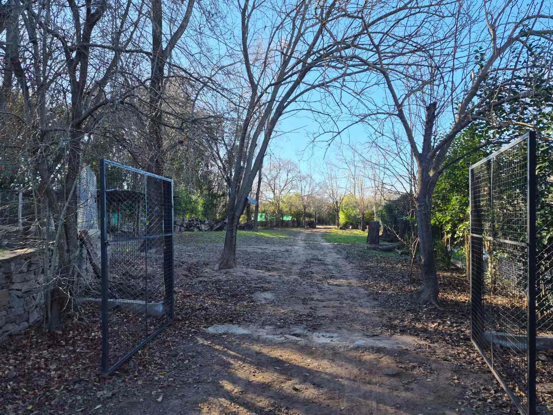 Venta Casa en Estancia Grande con Gran Terreno foto 2
