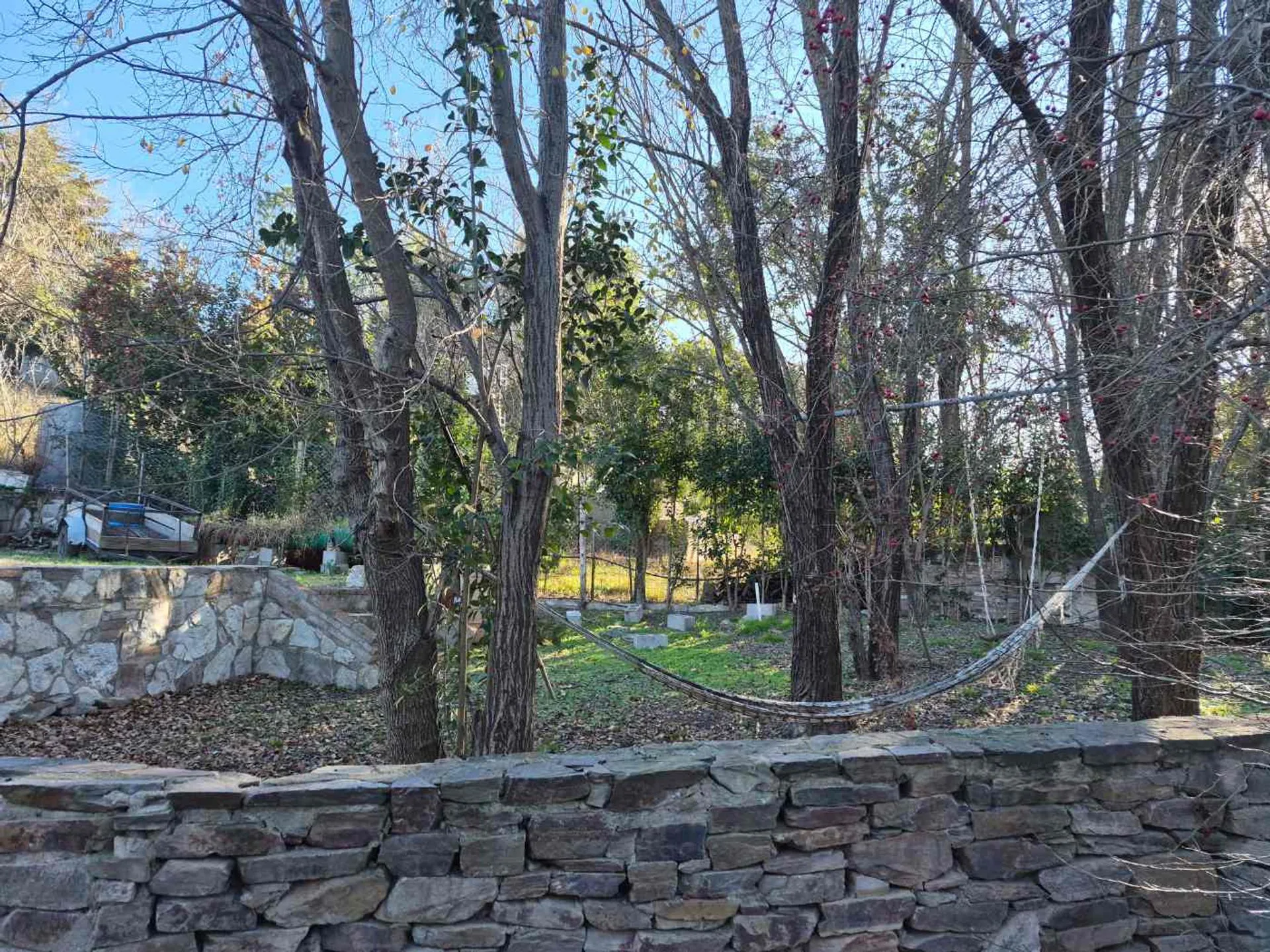 Venta Casa en Estancia Grande con Gran Terreno foto 3