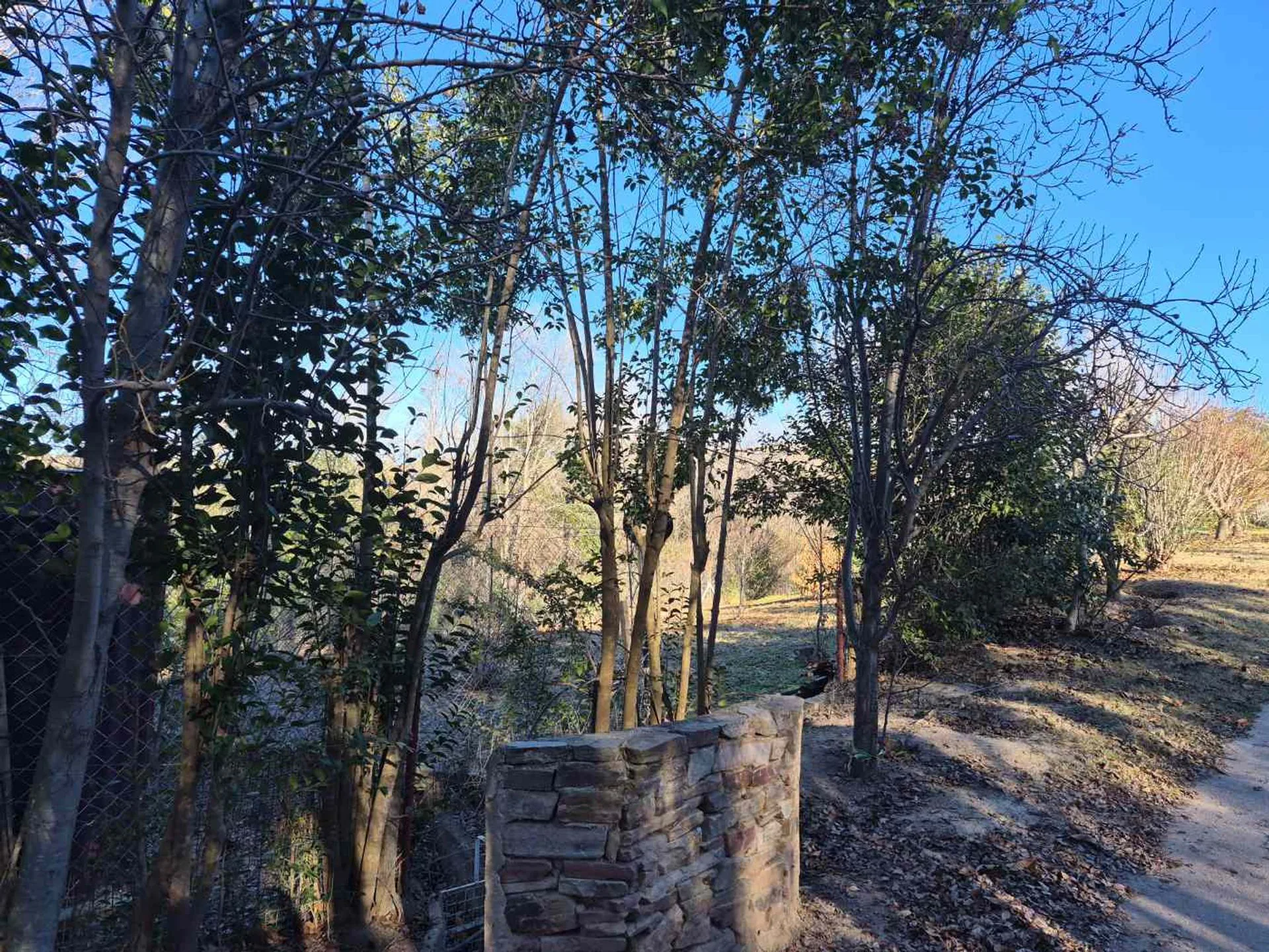 Venta Casa en Estancia Grande con Gran Terreno foto 5
