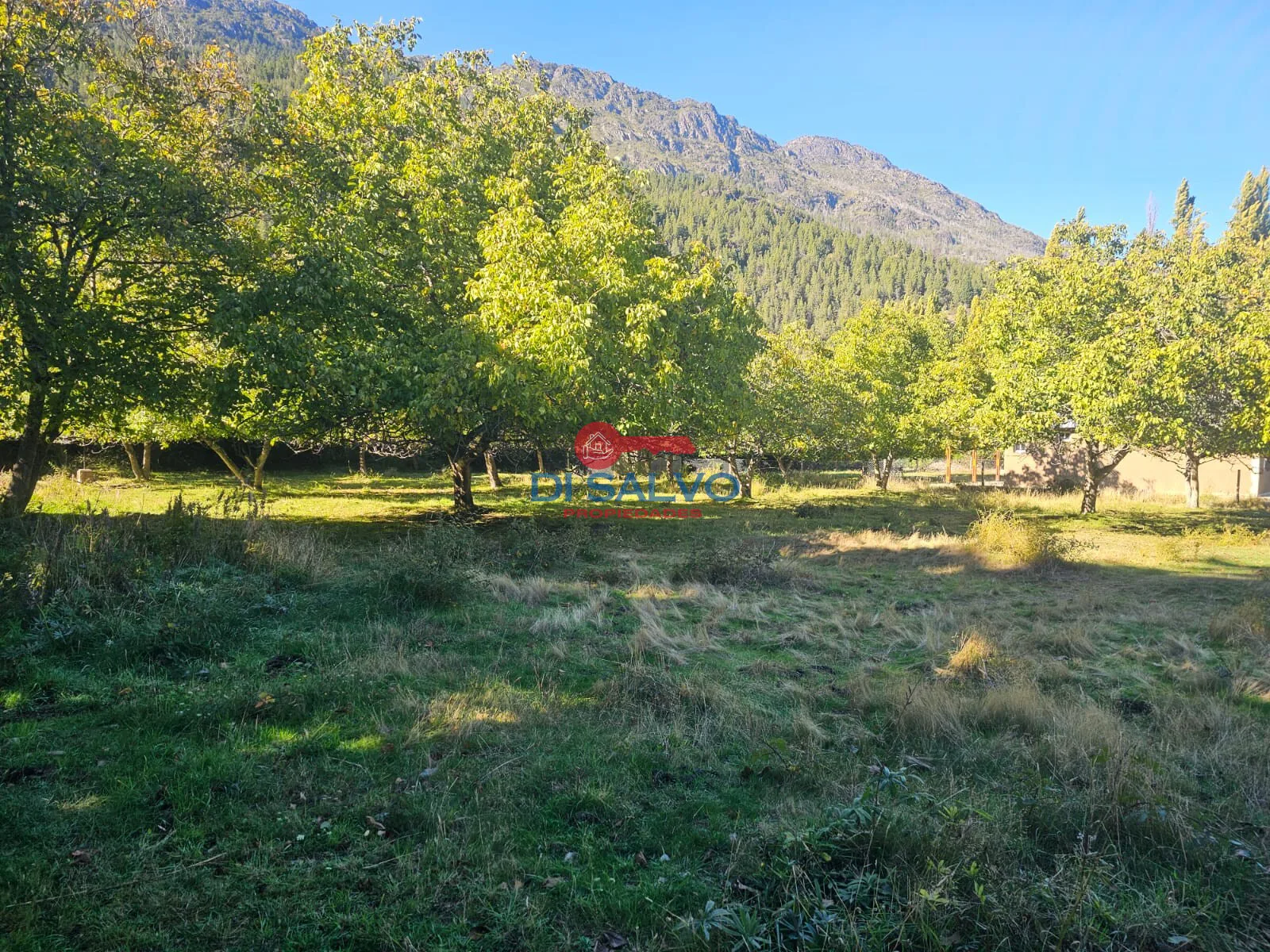 Hermosos lotes en Villa del Lago foto 4