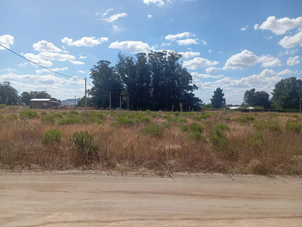 LOTE DE 1000 MTS EN BARRIO BELLA VISTA, BALCARCE foto 5