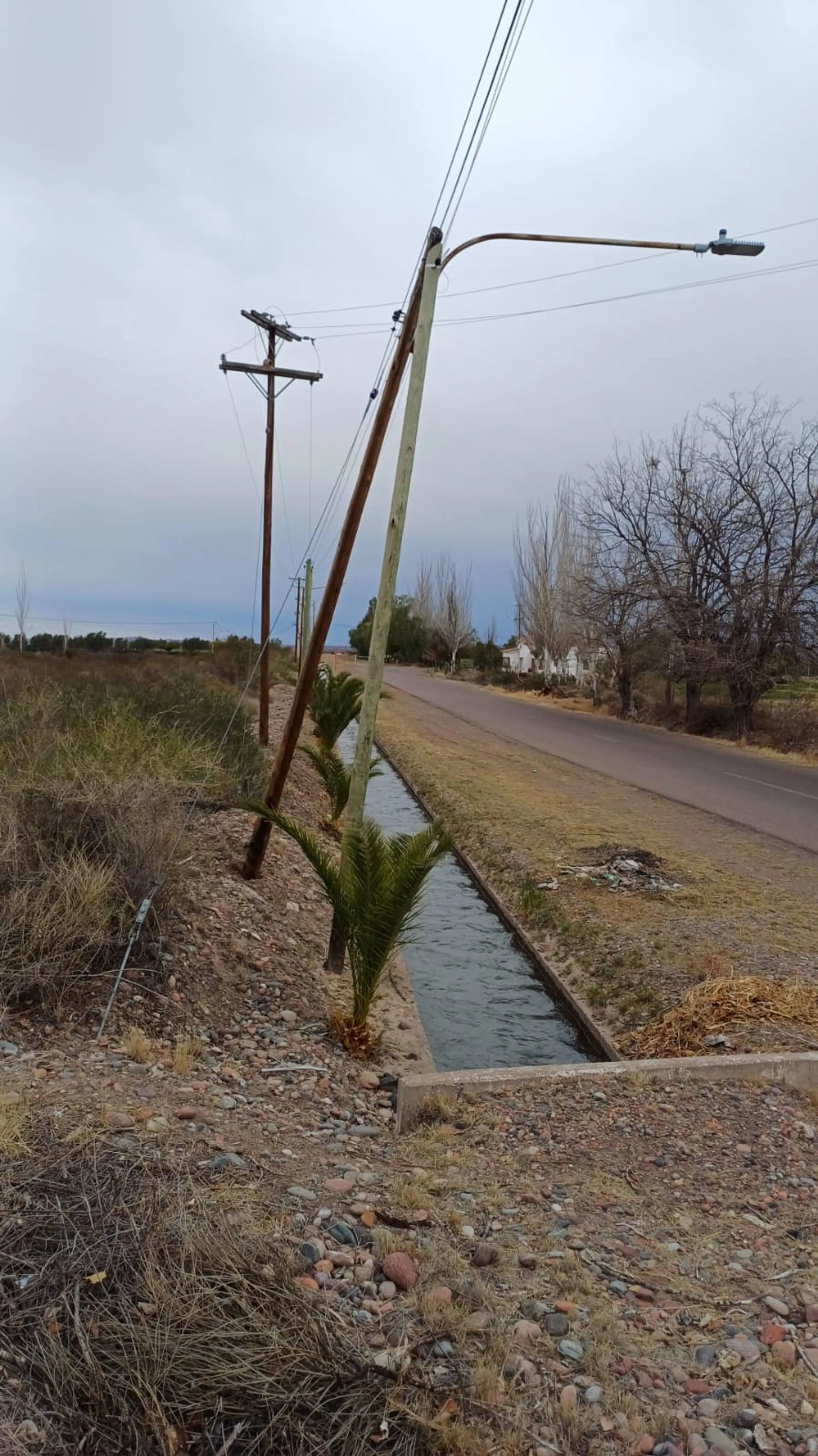 Campo en Cruz de Piedra Maipu apto para cultivo foto 3