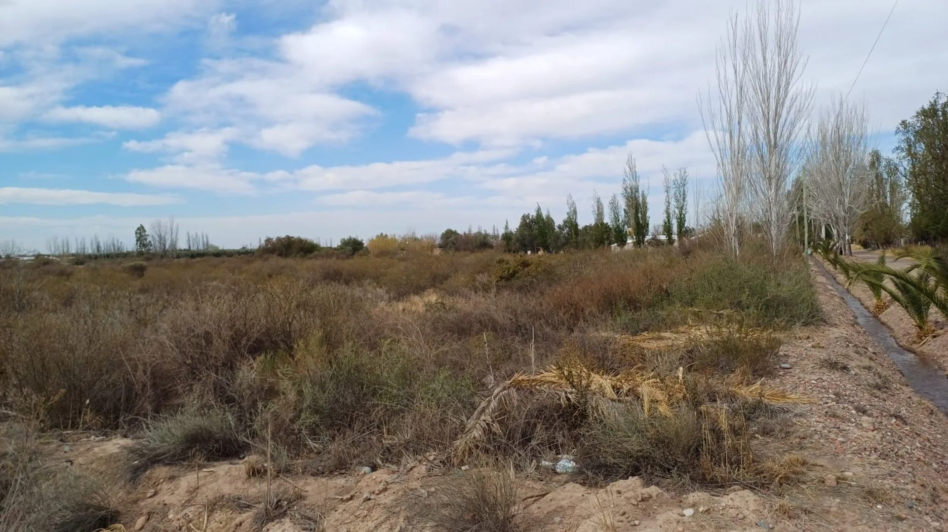 Campo en Cruz de Piedra Maipu apto para cultivo foto 4