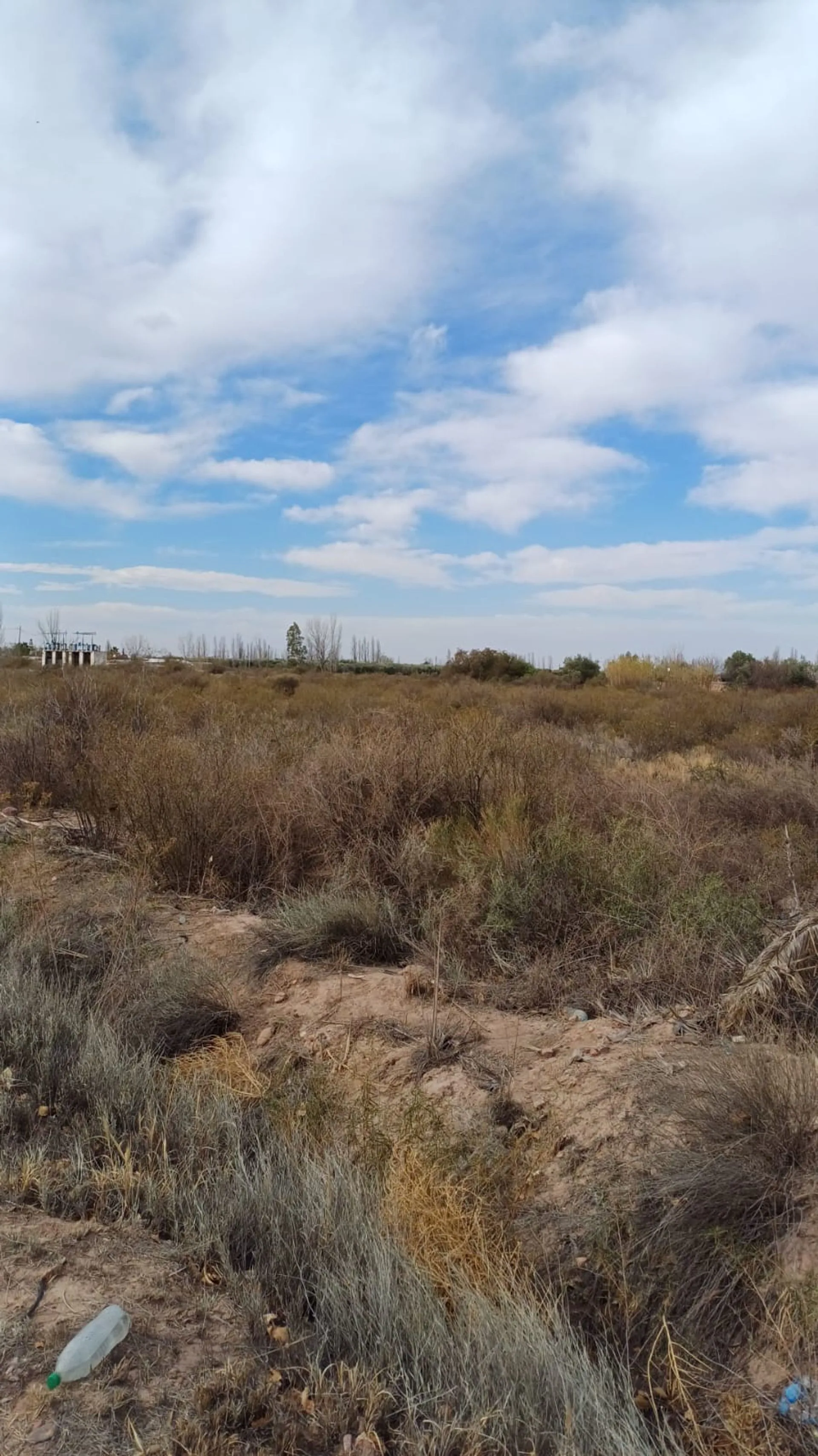Campo en Cruz de Piedra Maipu apto para cultivo foto 5