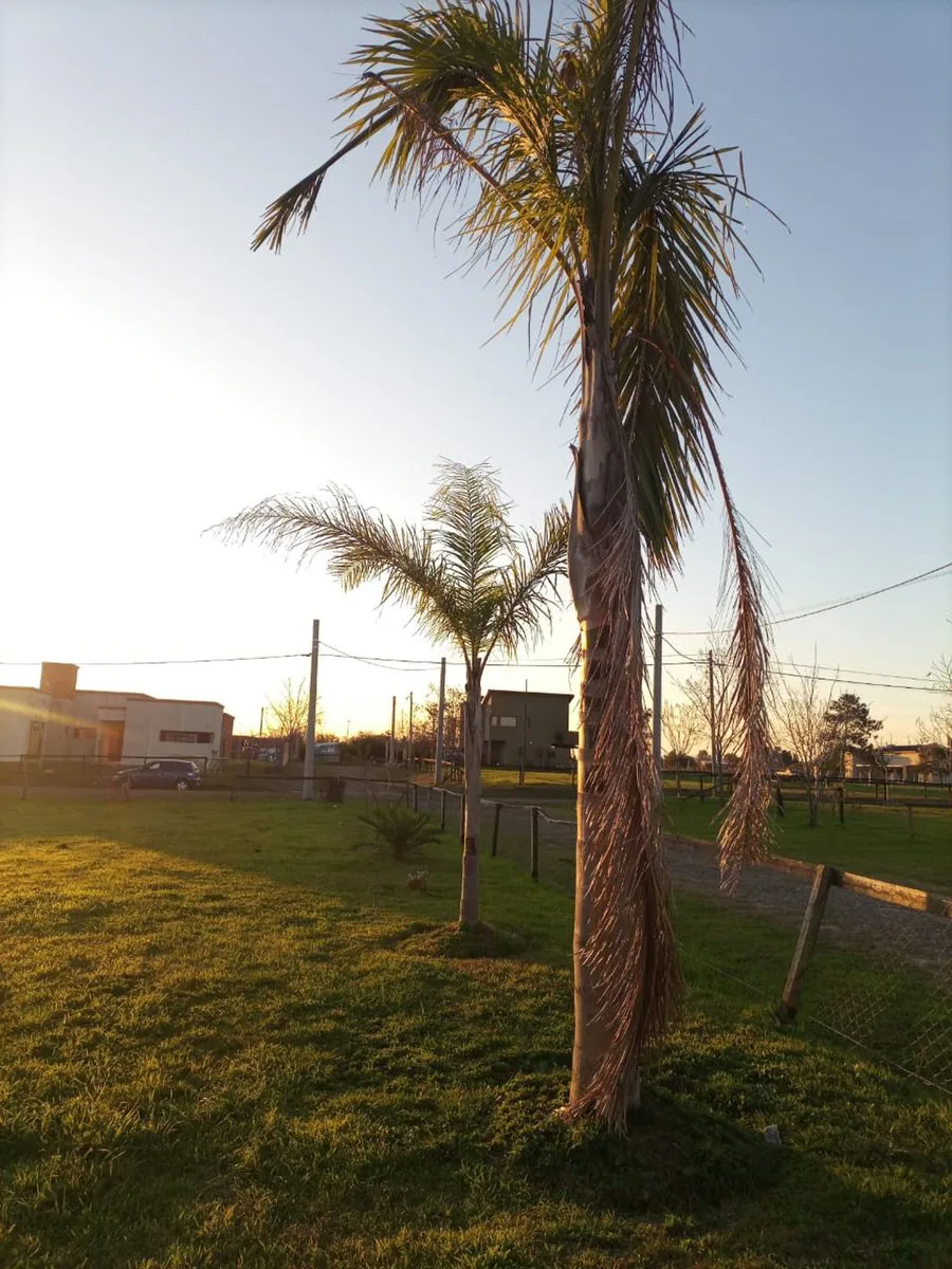 VENTA LOTE CHACRAS LA PRUDENCIA CAZADOR FINANCIADO foto 2