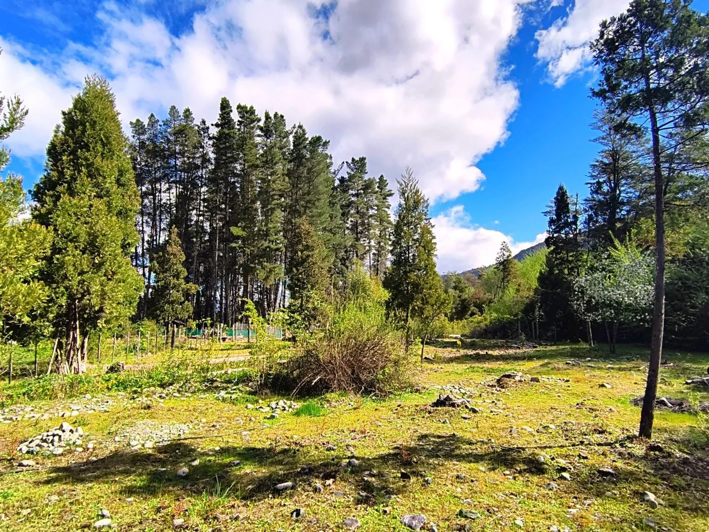(077) Lotes en PRE VENTA en Lago Puelo Isla Norte 500 mt² foto 2