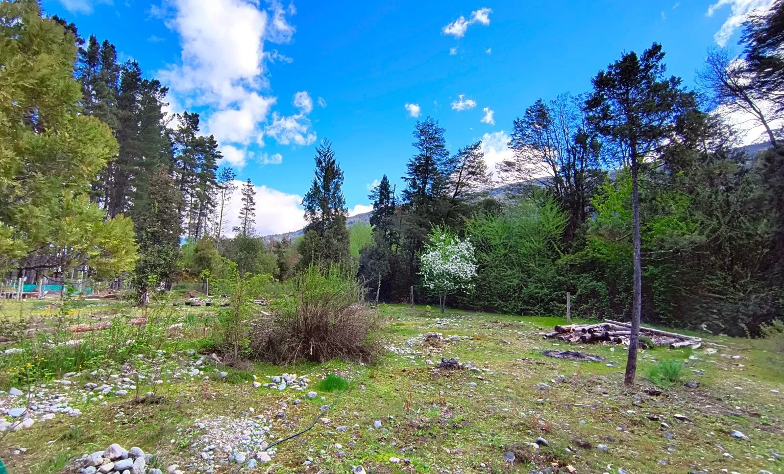 (077) Lotes en PRE VENTA en Lago Puelo Isla Norte 500 mt² foto 3