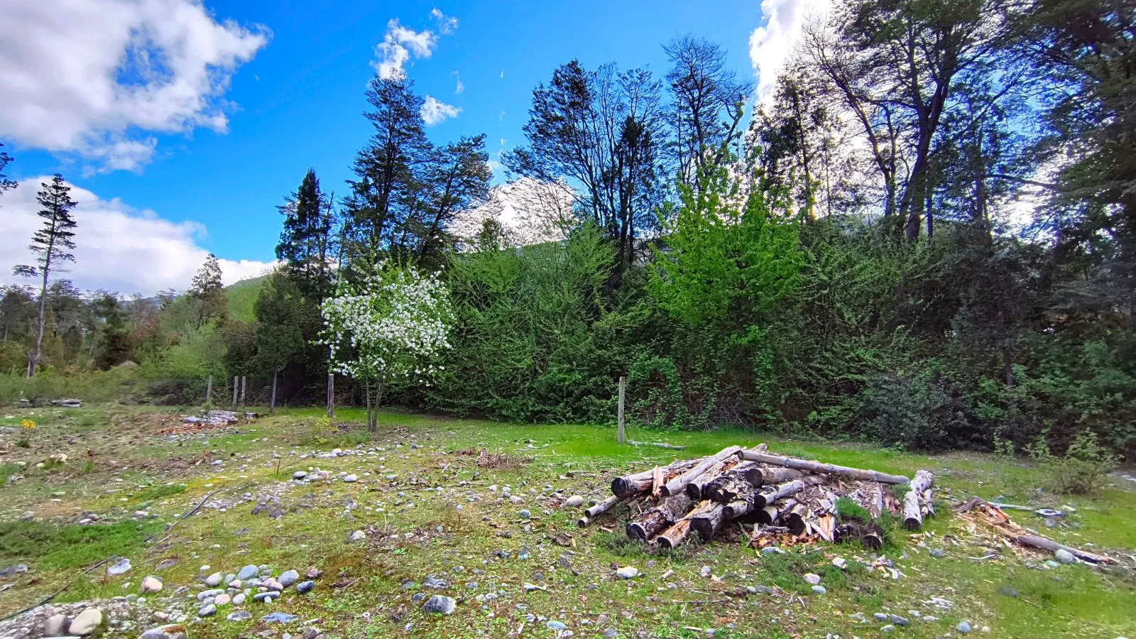 (077) Lotes en PRE VENTA en Lago Puelo Isla Norte 500 mt² foto 5